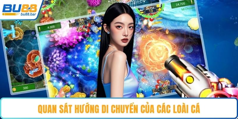 Quan sát hướng di chuyển của các loài cá