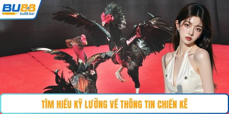 Tìm hiểu kỹ lưỡng về thông tin chiến kê