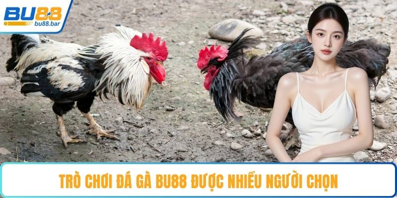 Trò chơi đá gà Bu88 được nhiều người chọn